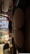 91风流-1081526/4_1081526.jpeg