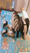 昆山胸大屁股大