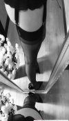 91风流-1104378/3_1104378.jpeg