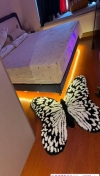 91风流-1211122/3_1211122.jpg