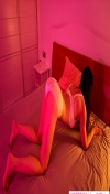 91风流-1241467/2_1241467.png