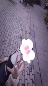 后入庐阳区蜜桃臀