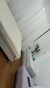 91风流-903461/4_903461.jpg